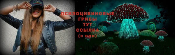 a pvp Алексин